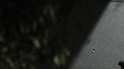 El CJNG de "El Mencho" tiene presencia en 28 estados mexicanos.