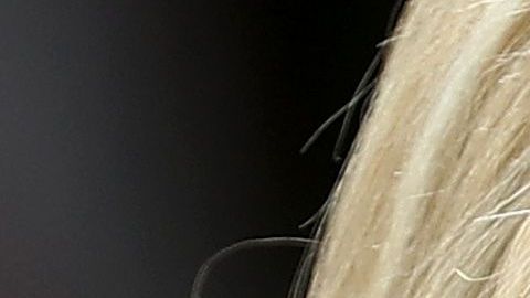 La pareja enfrenta el escrutinio.