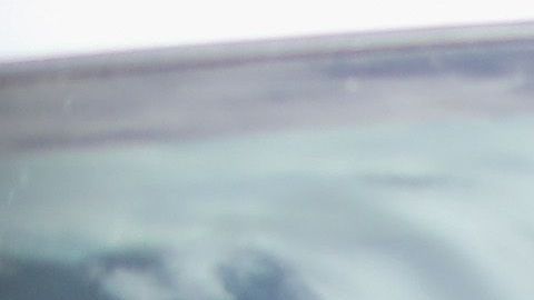 Para conceder el asilo, DHS determina si el solicitante tiene "un miedo creíble de ser perseguido en su país de origen".