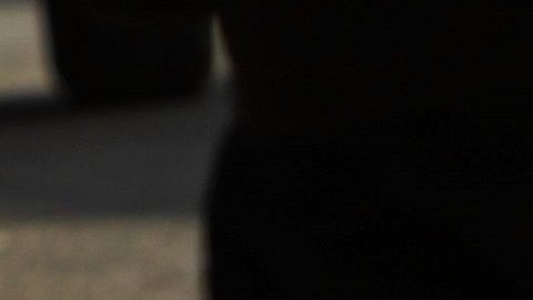 El Gobierno del presidente Trump evalúa catalogar a los cárteles mexicanos como grupos terroristas.