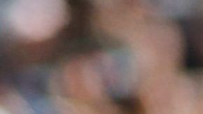 El delantero mexicano Carlos Vela no entiende a la afición mexicana.