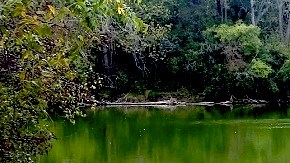 La reserva forestal Glenwood se ubica en el 1644 al sur de la calle River en, Batavia, Illinois.