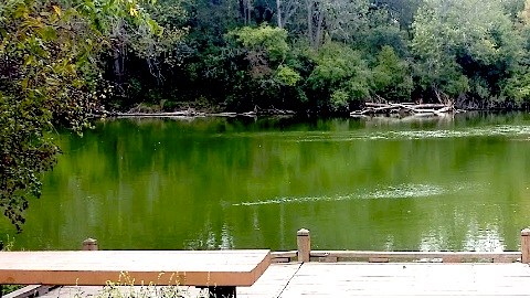 La reserva forestal Glenwood se ubica en el 1644 al sur de la calle River en, Batavia, Illinois.