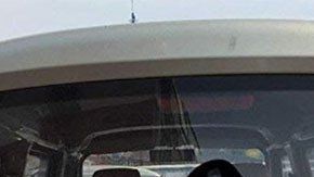 Pegatinas para la parte trasera del auto.