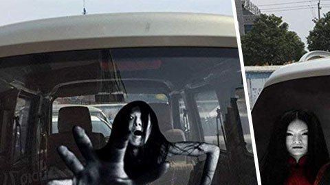 Pegatinas para la parte trasera del auto.