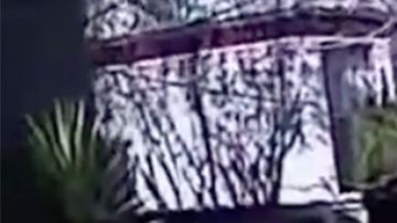 El momento en que intentaban detener a Guzmán.