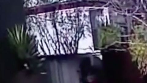 El momento en que intentaban detener a Guzmán.