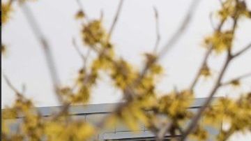 Hudson River Park cambíó la imagen de TriBeCa