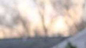 Habría menos reportes a ICE con estas leyes.