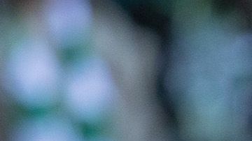 Jesús Manuel "Tecatito" Corona no reportó a su llamado con la Selección Mexicana