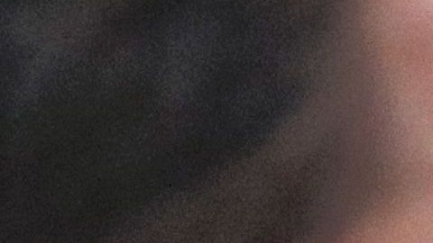 Diego Armando Maradona tendría ocho hijos en total, según su abogado