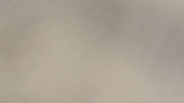 El técnico Gerardo Martino advierte que hará respetar a la Selección Mexicana