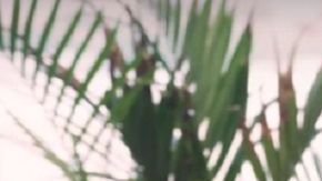 Los inmigrantes reciben capacitación, incluso clases de inglés.