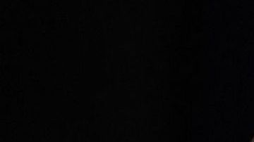 Jared Kushner quiso presionar al presidente mexicano López Obrador sobre asuntos migratorios.