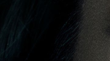 Kate del Castillo regresa con "La Reina del Sur 2"