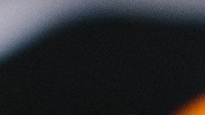 Mucho cuidado con los aguacates que consumas.