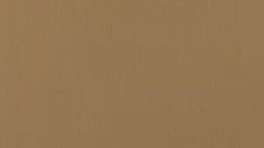 La secretaria Nielse es cuestionada por el Comité de Seguridad Nacional en la Cámara.