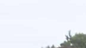 La historia de la "falsa Melania"viene circulando en redes sociales