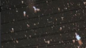 Las primeras precipitaciones en las zonas rurales y urbanas cercanas a la icónica ciudad de los espectáculos, comenzó el miércoles en la noche con una acumulación de nieve de hasta 0.5 pulgadas o 1.3 centímetros.