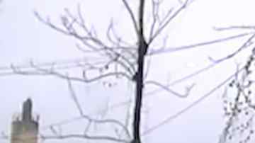 Imágenes de la grabación distribuida por la policía de Little Rock.