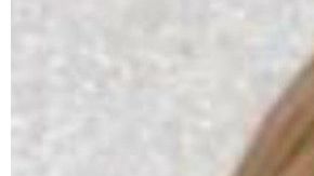 Christina Alvarez (derecha) trabajó con Brittany Zamora en la escuela primaria Littleton.