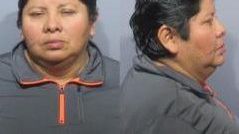 Concepción Malinek enfrenta varios cargos en su contra