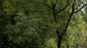 Exigen justicia para los 43 normalistas desaparecidos de Ayotzinapa. (Foto: Agencia Reforma)