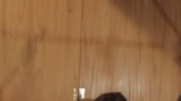 María Toro se presenta en el Festival de Flamenco del Instituto Cervantes de Chicago.