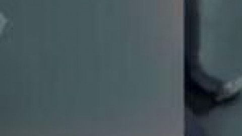 Hombre desnudo intenta abordar un avión.