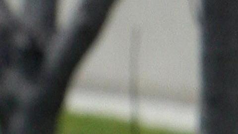 La Primera Enmienda de la constitución estadounidense permite que cualquier persona registre en público a los agentes de la ley en servicio.