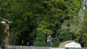 Los oficiales respondieron a un reporte de un infante sentado solo en un auto en el estacionamiento de un centro comercial.