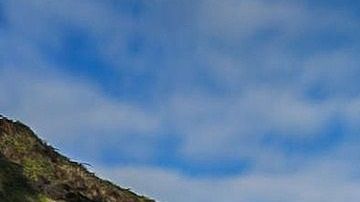 Las ostras que sobreviven y crecen en aguas con altos niveles de acidez desarrollan una concha más pequeña y frágil que se rompe con mayor facilidad.