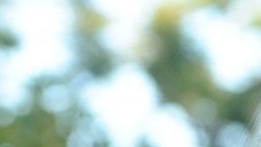 Patricia Manterola, cantante mexicana.