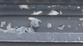 Payless entró en liquidación y cerrará 2,500 tiendas en el país./Mariela Lombard