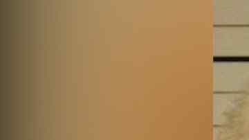 La mayoría de los asaltos ocurrieron en 2000 cuando Barto obtuvo su licencia médica,