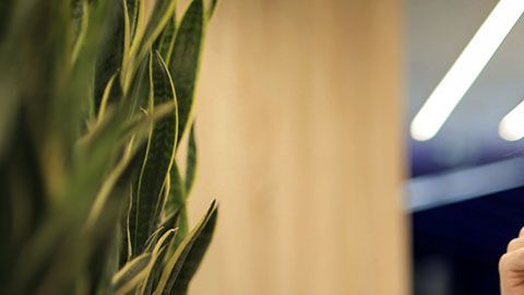 Estos pensamientos sólo impedirán que asciendas en tu carrera.