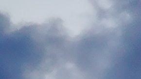 Un virus ha causado un infierno a bordo de un crucero.