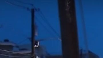 Selene Saavedra estuvo detenida más de un mes.