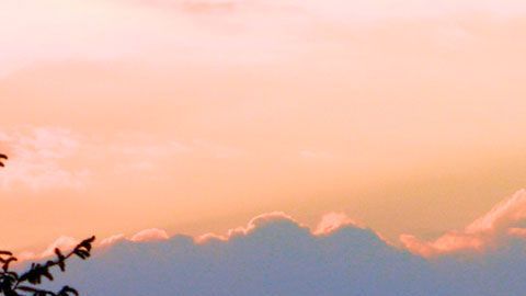 Para casi cualquier eventualidad que puedas imaginar, de seguro existe un seguro para protegerte.