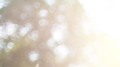 La primavera atrae cosas positivas.