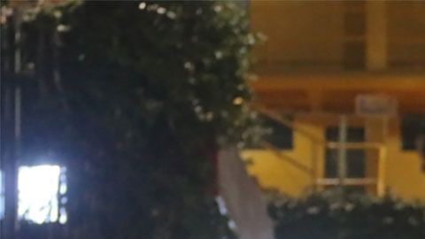 El príncipe tiene ya algunos años viviendo en nuestro país.