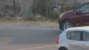 Elementos de la policía estatal de Puebla se personaron a la escena.