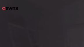 El ratón trabajó mucho para arreglar el desorden.