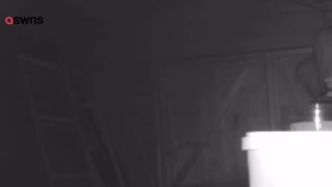 El ratón trabajó mucho para arreglar el desorden.