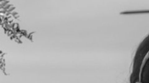 "Roma", la película de Alfonso Cuarón