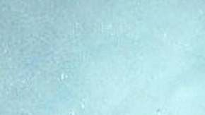 Yulia Vysotskaya tenía 14 años.