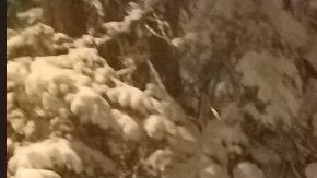 Este grupo de amigos ayudó a quitar la nieve a su vecina.