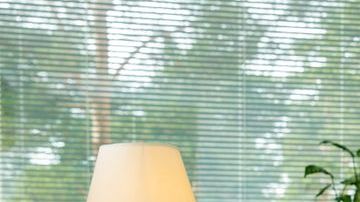 shutterstock_1065244697