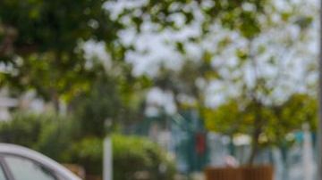 shutterstock_1089821954