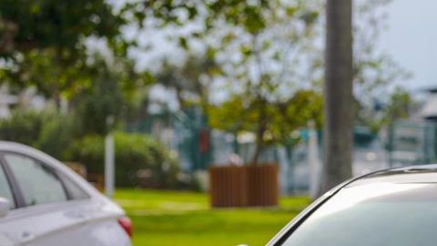 shutterstock_1089821954